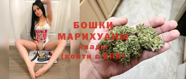 прущие грибы Красноперекопск
