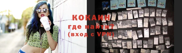прущие грибы Красноперекопск
