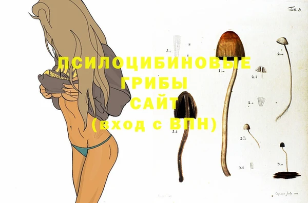дурь Краснотурьинск