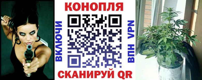 сколько стоит  Лахденпохья  Конопля White Widow 